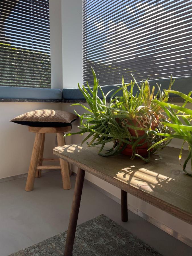 Vakantiehuis Cerise, Luxueus Genieten In De Leiestreek เดนเซอ ภายนอก รูปภาพ